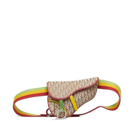 dior rasta belt bag|Dior Rasta Bag .